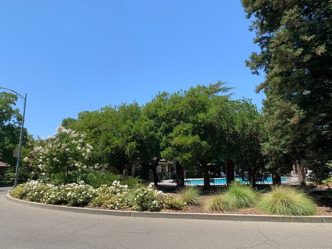 Building Photo - Updated 2 bedroom 1 bath condo in a quiet park like setting with a community pool