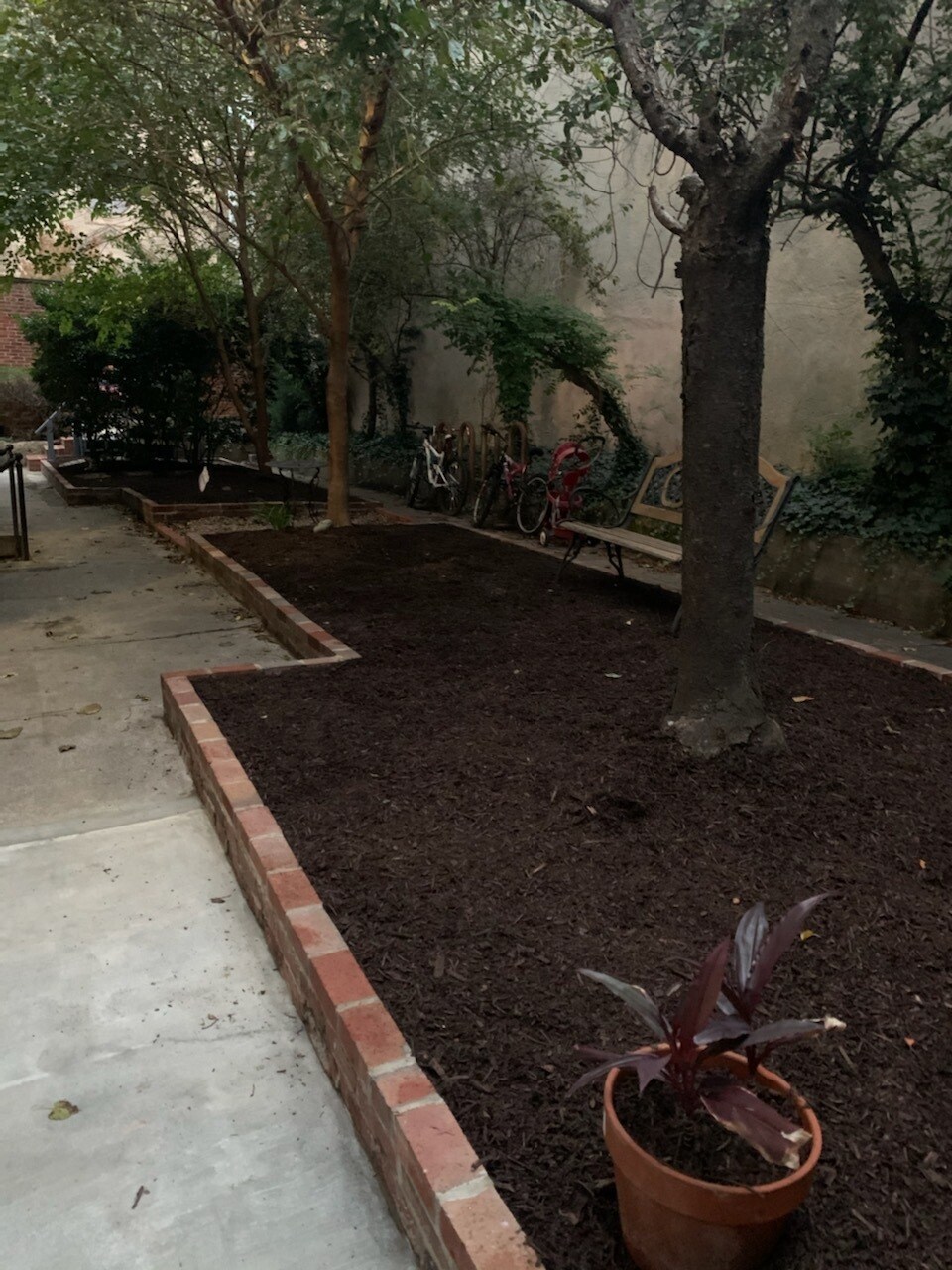 Courtyard brings beauty year round - 1901 E Lombard St