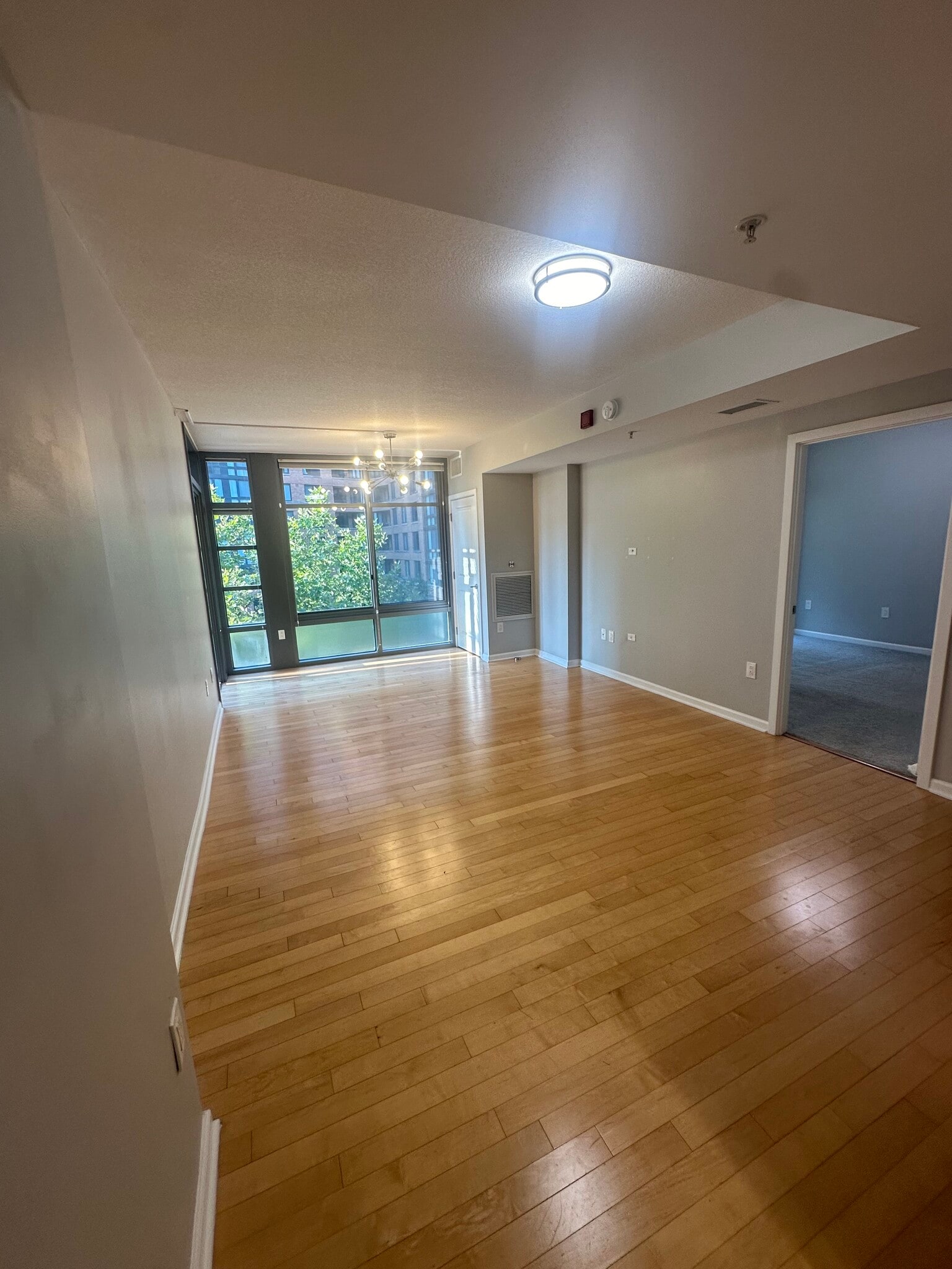 Living room view from kitchen. - 440 L St NW