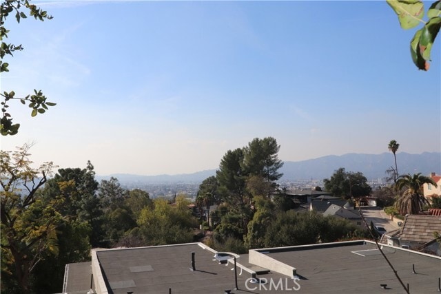 Building Photo - 703 Luton Dr