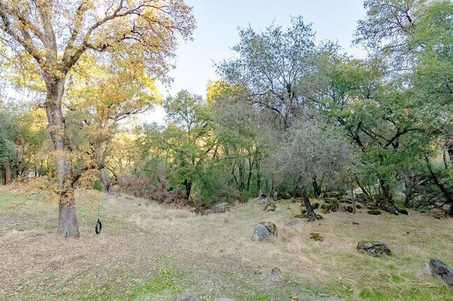 Building Photo - Beautiful custom home on 2.5 private acres!