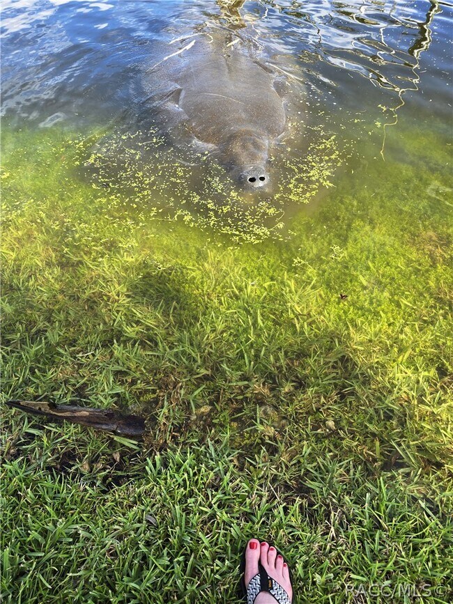 Building Photo - 10906 W Cove Harbor Dr