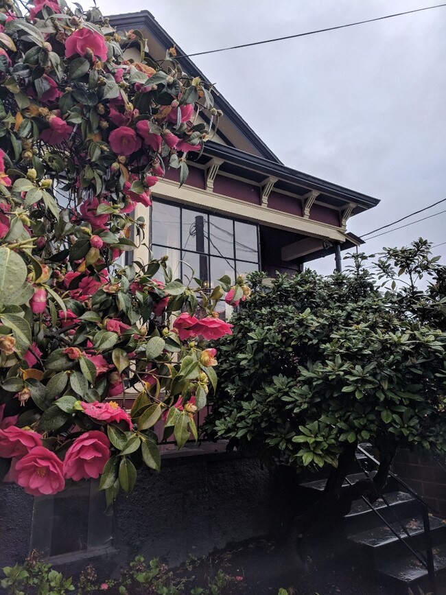 Front - 623 SW Sherman St