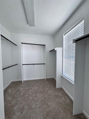 Building Photo - 1525 Fallcreek Ct