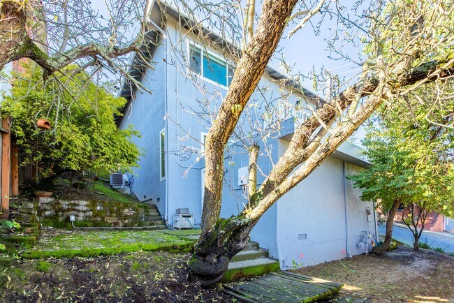 Building Photo - Beautiful Home In Martinez Hills