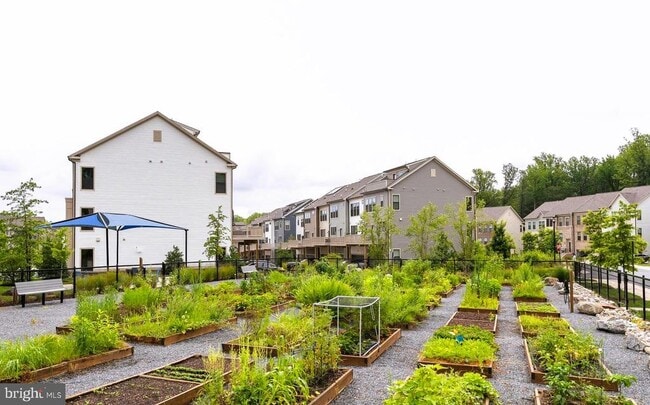 Building Photo - 3512 Biota Ln