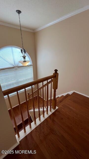 Building Photo - 33 Kinglet Ave