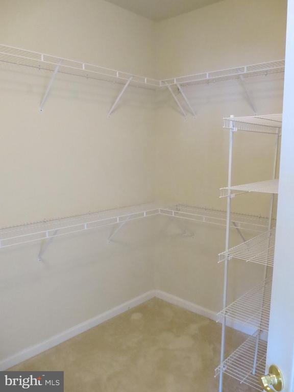 Building Photo - 7017 Little Thames Drive