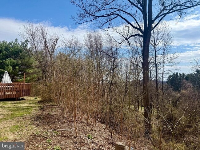 Building Photo - 746 Sawmill Rd