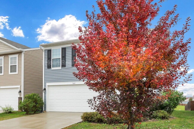 Building Photo - 7449 Sugarbark Dr