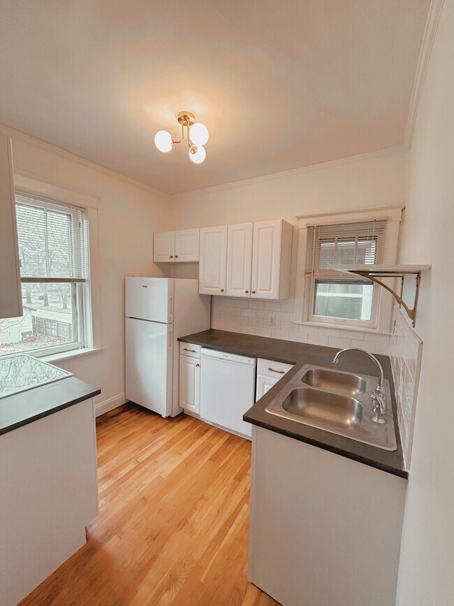 Newly updated kitchen with plenty of light and storage - 2705 S Kingshighway Blvd