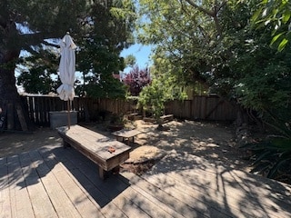 Rear Yard - 3201 Boston Ave