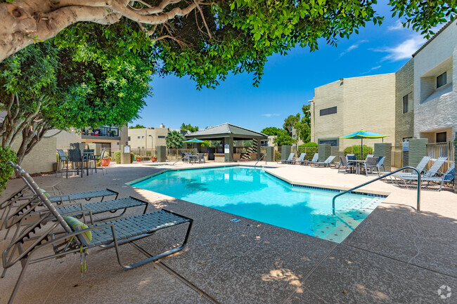 Dana Park Apartments - Mesa, AZ | Apartment Finder