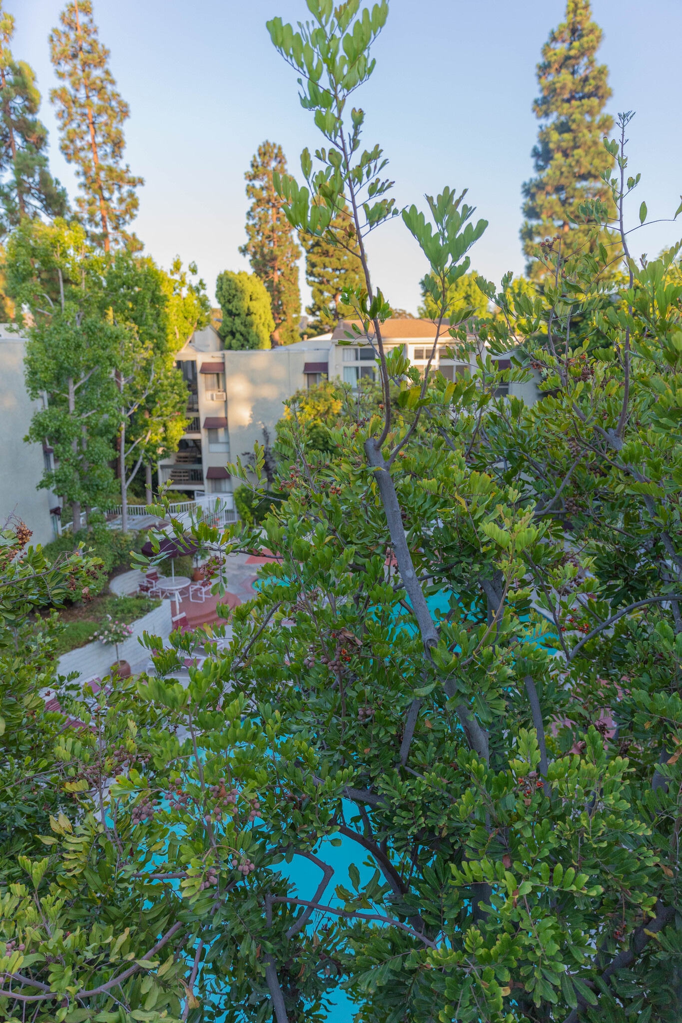 View from the Balcony - 4900 Overland Ave