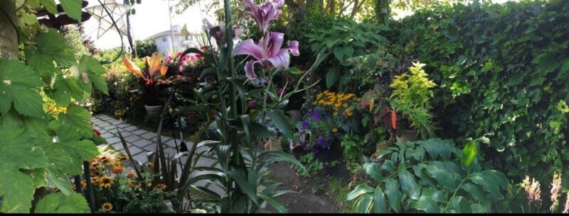 Building Photo - 11758 Greenwood Ave N