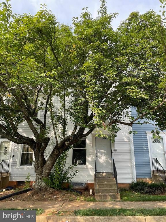 Building Photo - 809 Madison Ct
