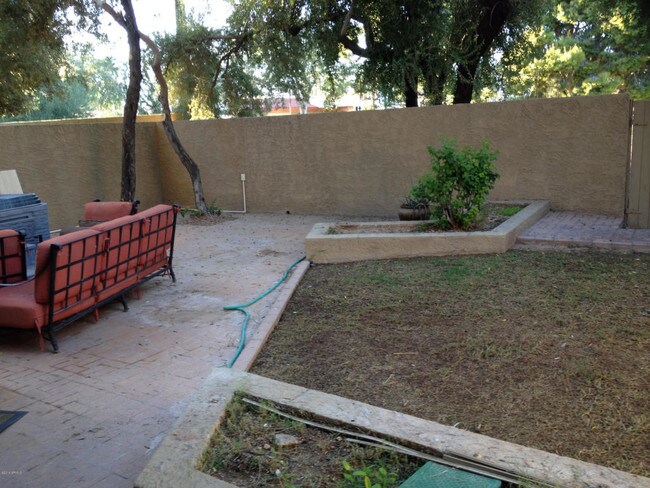 Backyard - 7209 E McDonald Dr