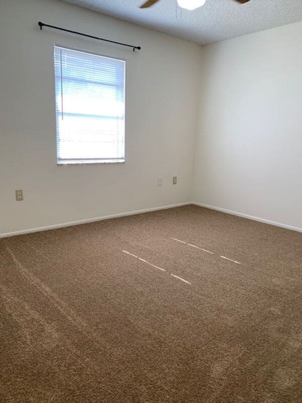 Building Photo - 3931 Spoonbill Ct
