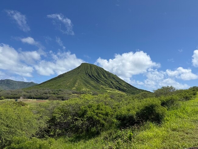 Building Photo - 1070 Awawamalu St