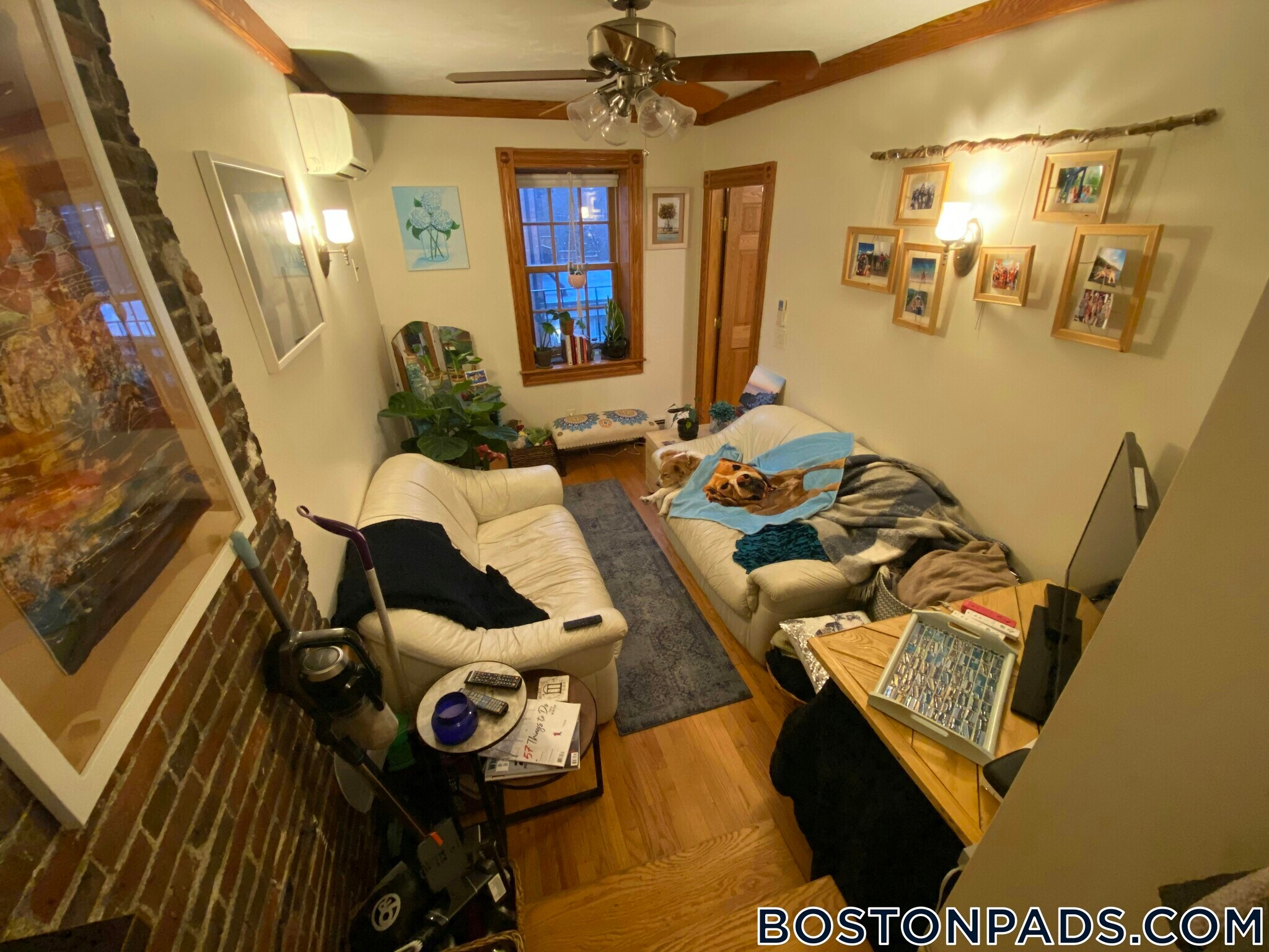 Building Photo - 61 Anderson St