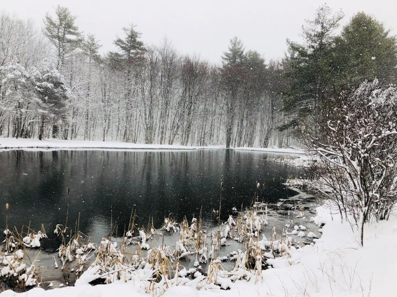 Building Photo - 3550 Coolidge Hwy