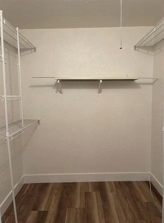 Building Photo - 909 Cripple Creek Dr