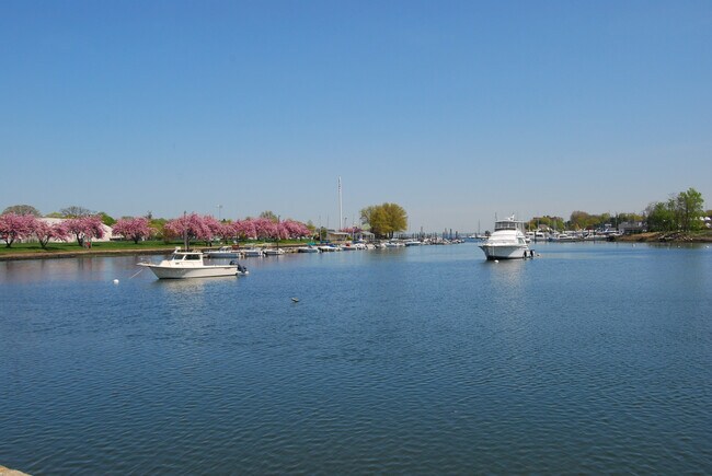 Building Photo - 251 Mt Pleasant Ave