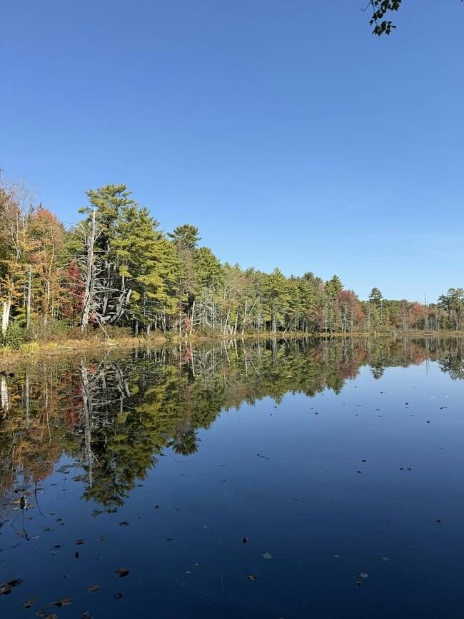 Building Photo - 15 Anglers Rd