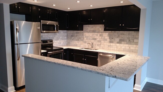 Remodeled Kitchen - 475 Plum Creek Dr