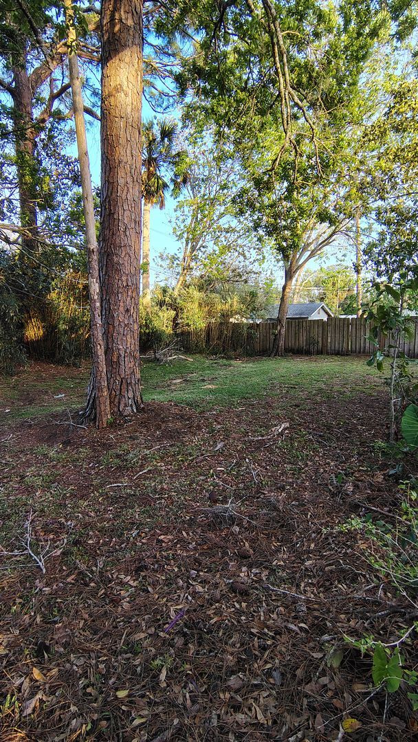 Building Photo - Beautiful home!