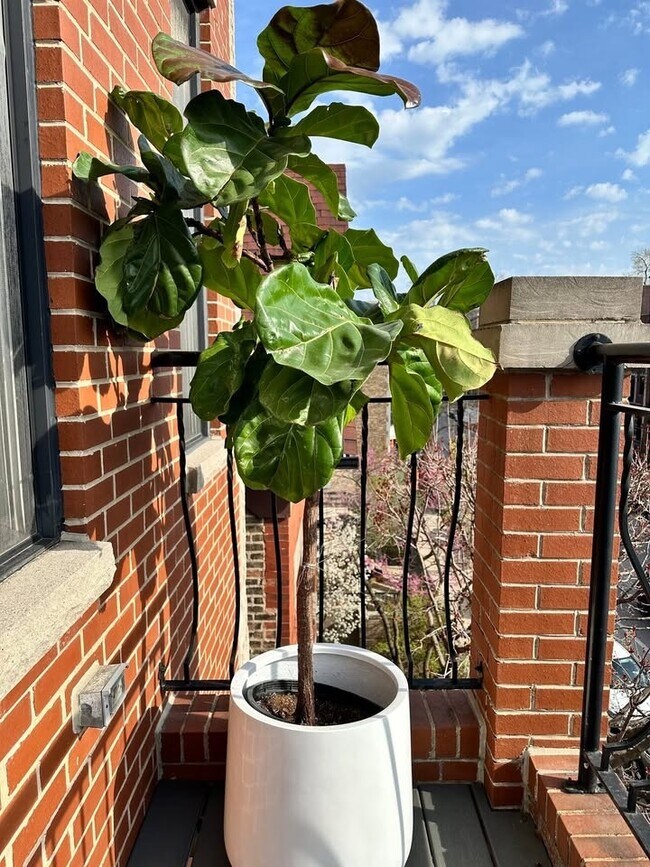 Building Photo - 1930 N Halsted St