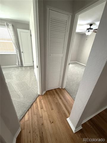 Building Photo - 1920 Willow St