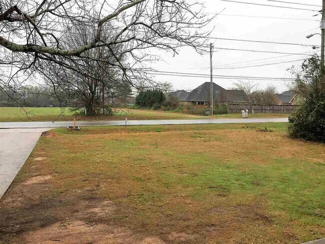 view of front yard - 407 Collins Ave