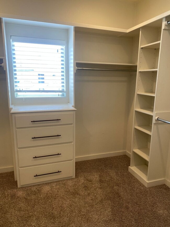 Building Photo - 3 bed 2 bath in Frenship ISD
