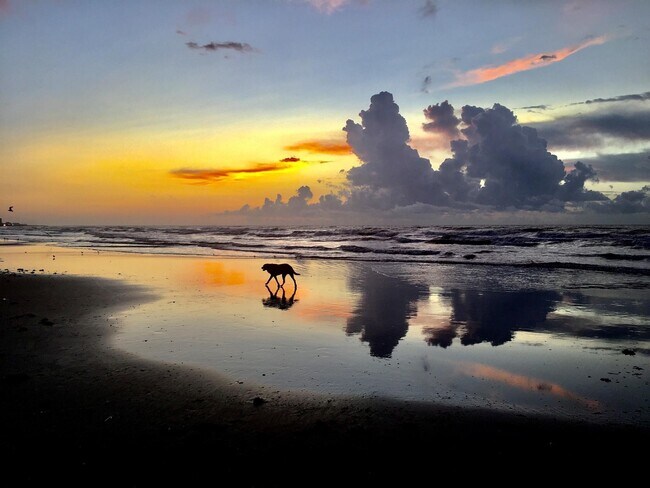 Building Photo - 1011 9th St