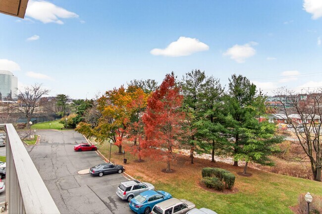 Building Photo - Martha Custis 319_