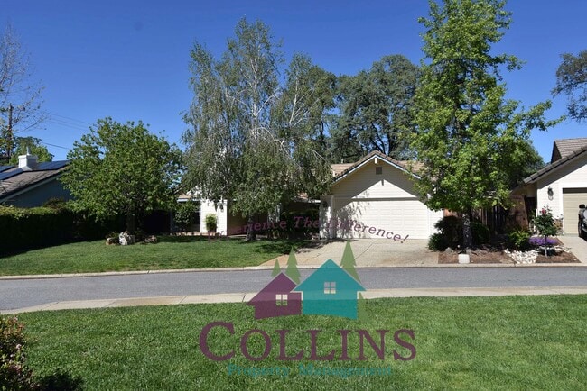 Building Photo - 505 Adriana Pl