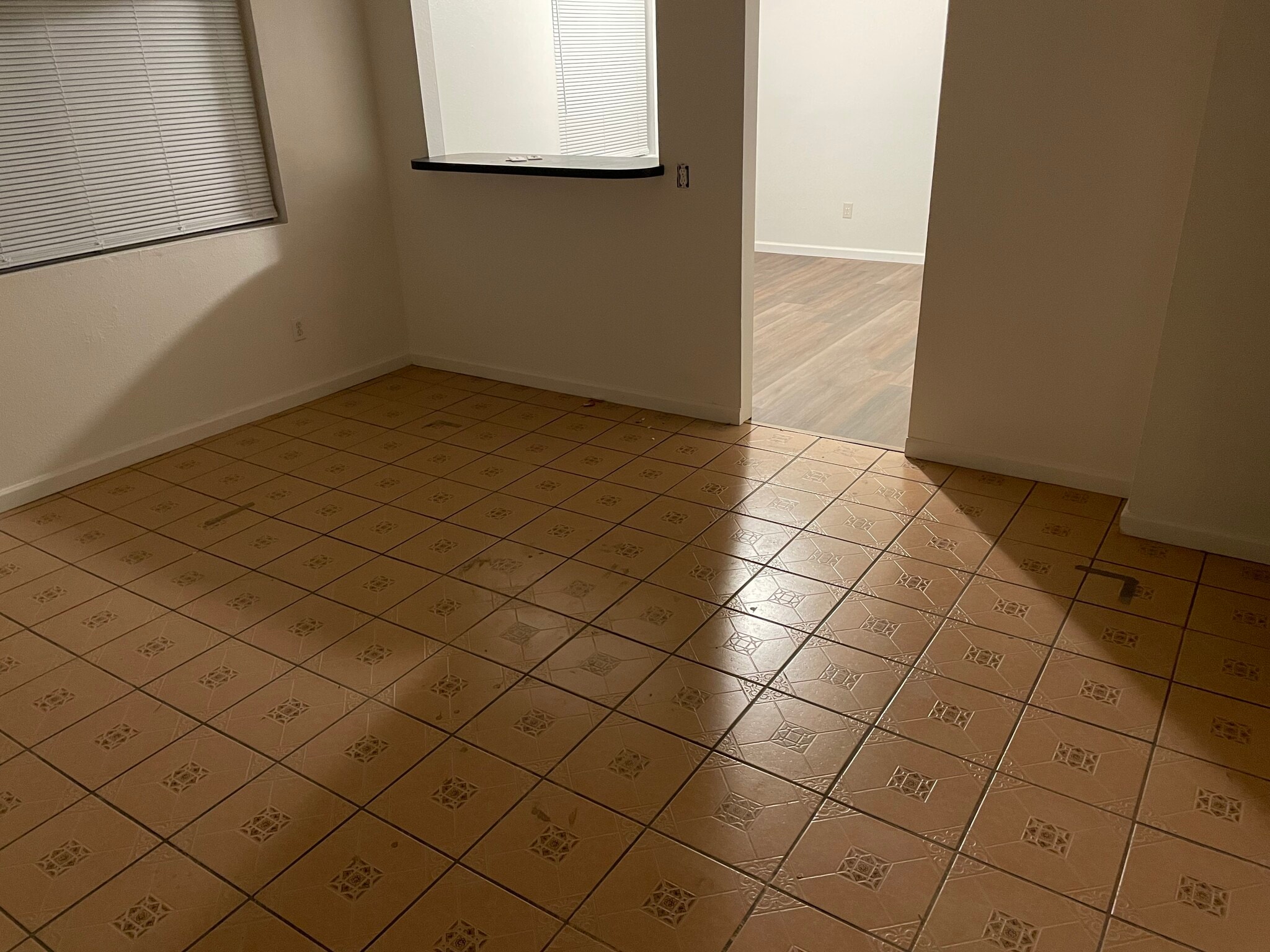 Living leading to Kitchen - 218 Woodrow Ave