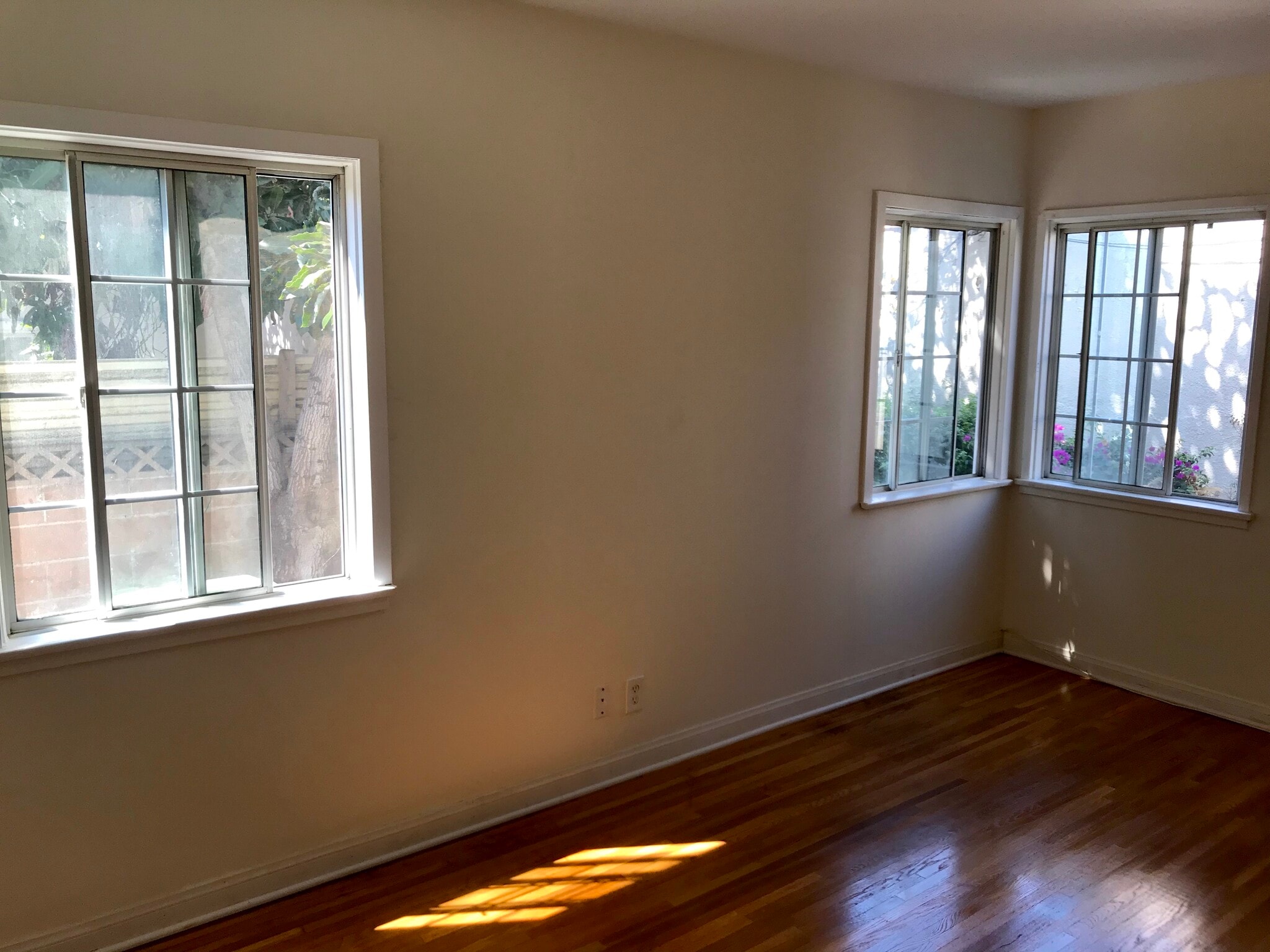 Windows in Master Bedroom - 5362 Monroe St