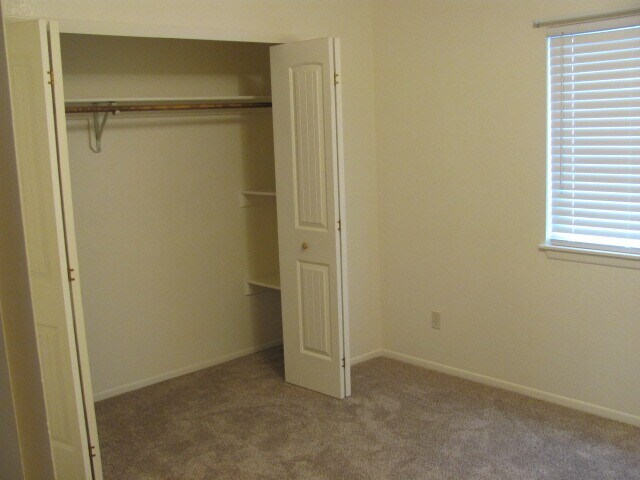 Second bedroom, large closets, new window coverings - 5520 Bowden Loop