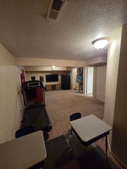 Basement Family Room - 4701 S Turnberry Pl