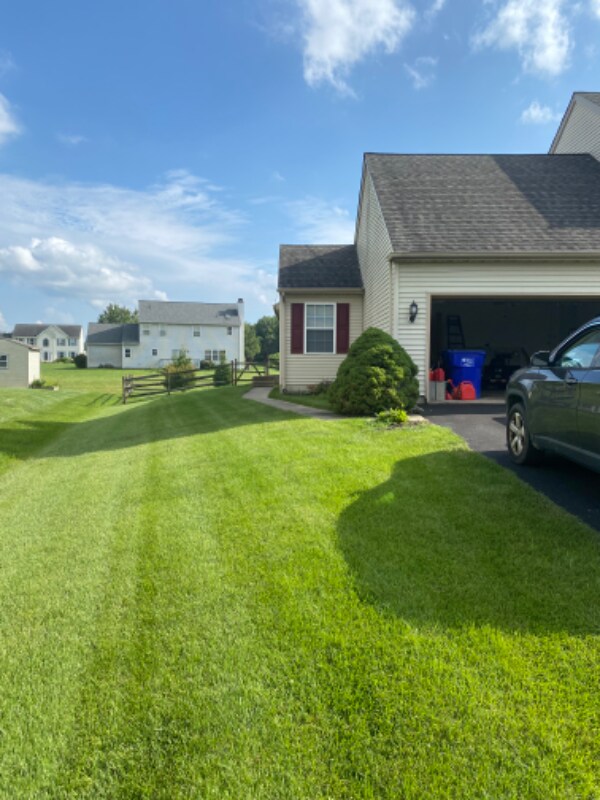 Primary Photo - 34 Eaton Pl