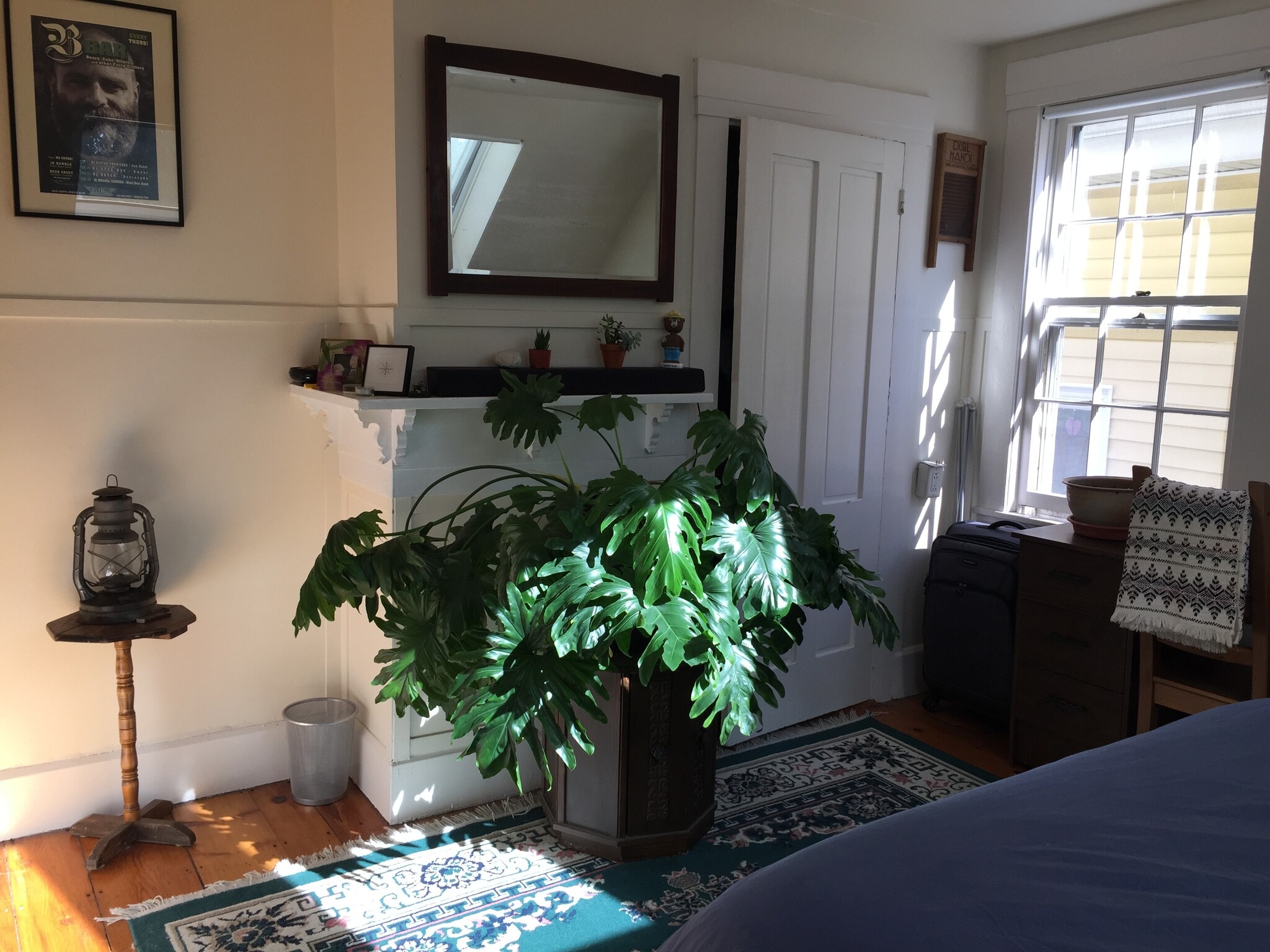 Bedroom 1 - 30 Vesper St