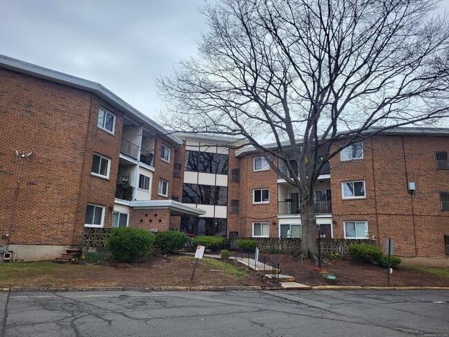 Primary Photo - 124 Biruta St