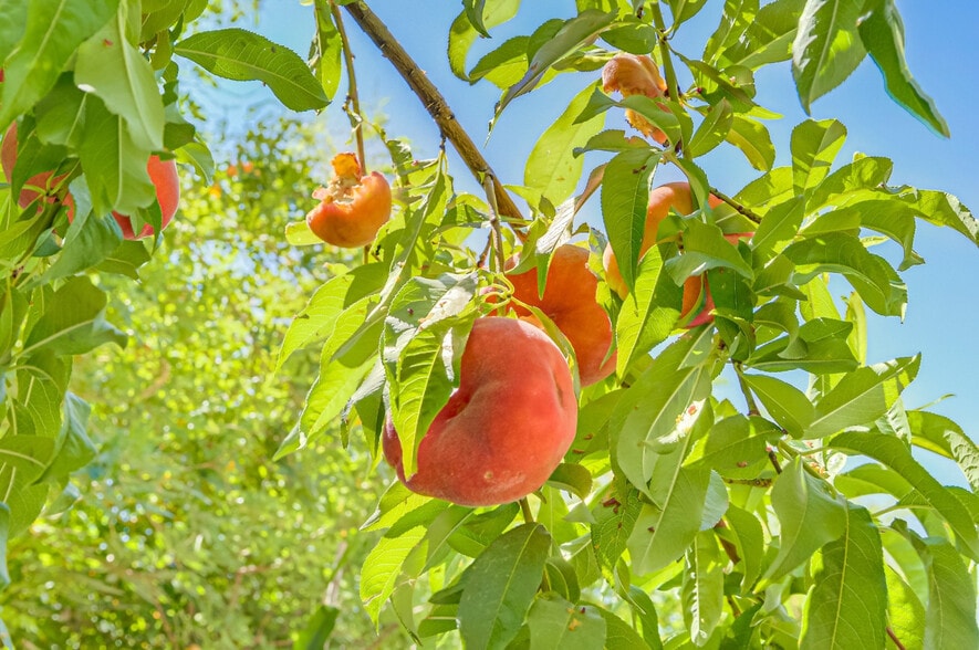 Building Photo - 9784 Kodiak Island Ct