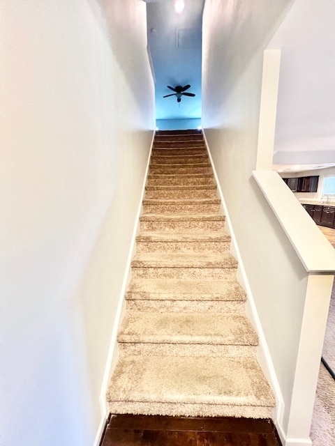 Building Photo - 3035 S Wild Turkey Dr