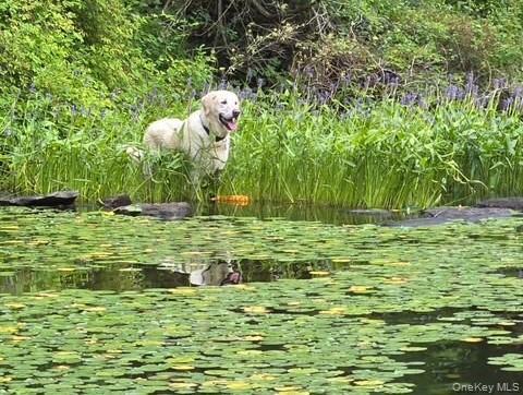 Building Photo - 49 Twin Lakes Rd