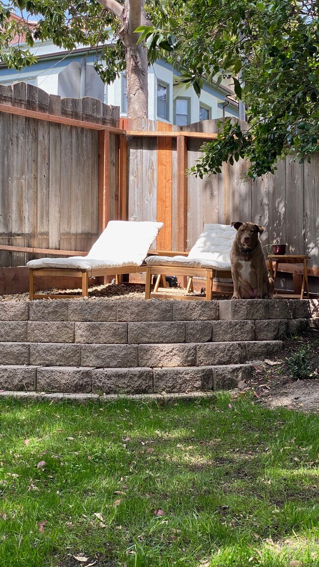 Backyard - 55 Hamilton Pl