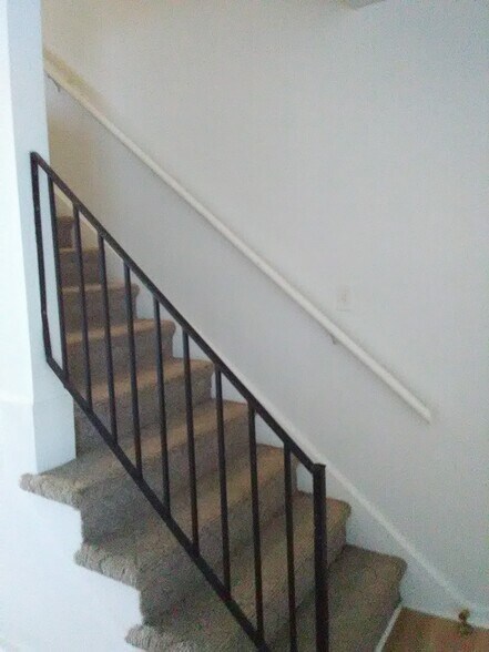 Stairway - 50 Douglas Rd