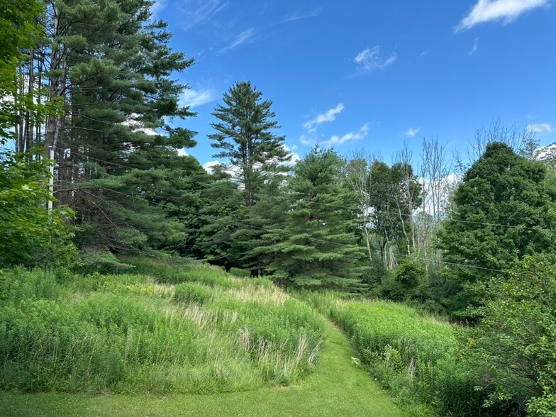 View & Trail Behind House - 102 Ways Ln